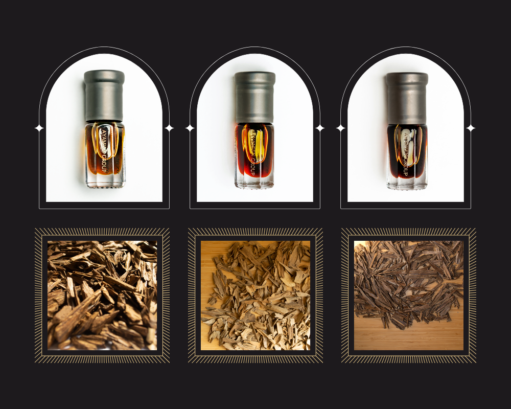 رحلة المنتج - PRODUCT JOURNEY